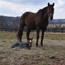 edge city colt
